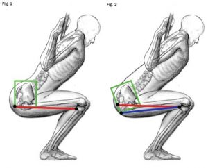 Squat