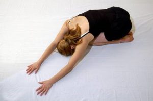 shell stretch