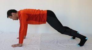 Bear Crawls
