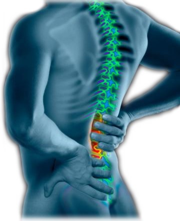 Low Back Pain - Lower Back - Conditions - Musculoskeletal - What