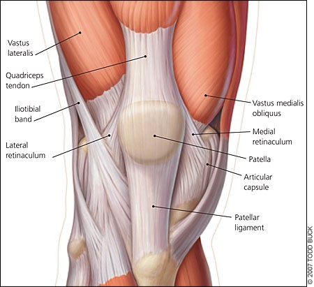 Iliotibial Band Syndrome - Knee - Conditions - Musculoskeletal - What We  Treat 